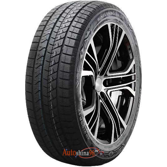 DoubleStar DW16 205/55 R17 95T XL