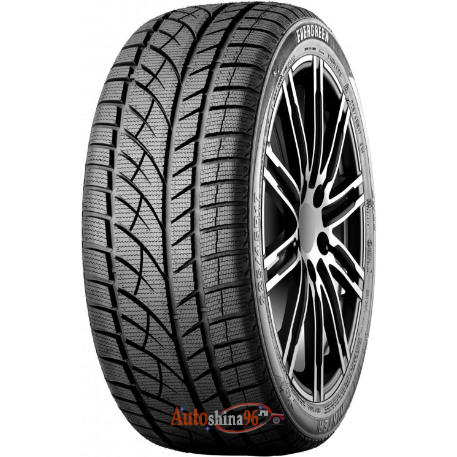 Evergreen Winter EW66 225/65 R17 102S