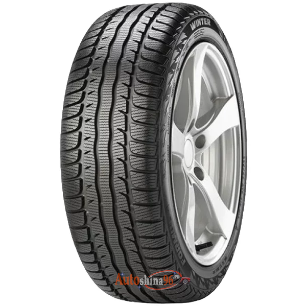 Formula Winter 195/65 R15 91H